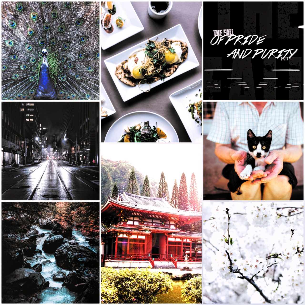 The Fall Part 3: Of Pride and Purity